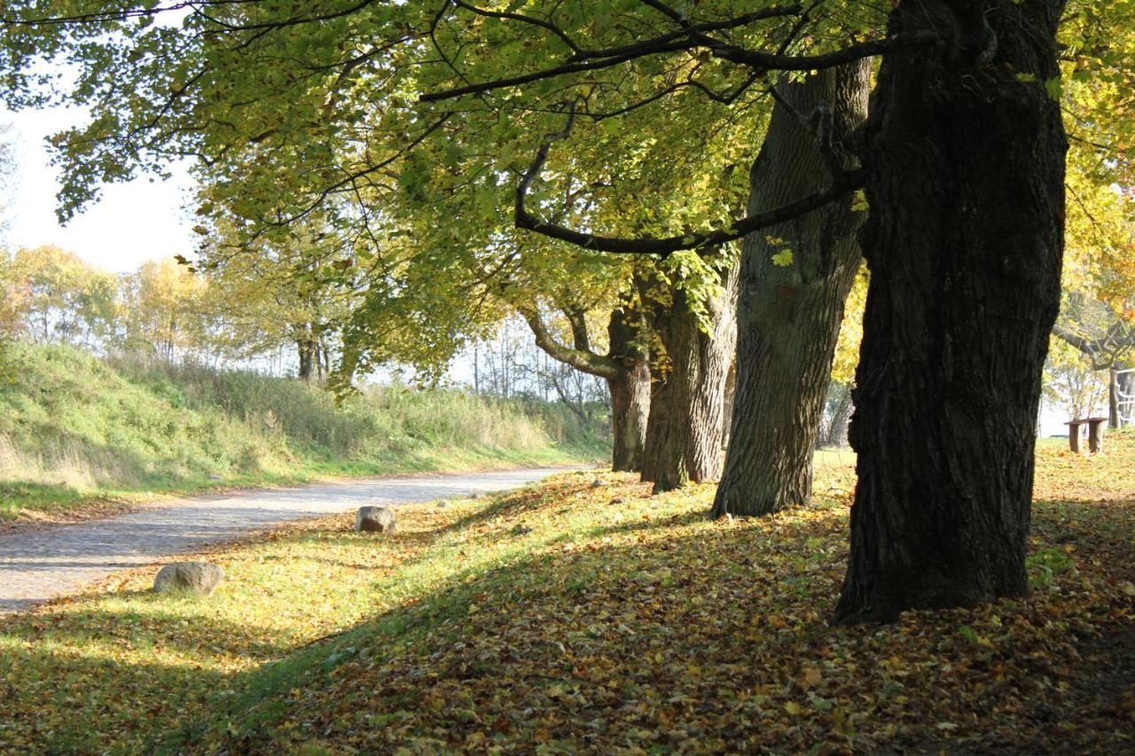 Ferienwohnung Am Weltnaturerbe Grumsin Ziehten Εξωτερικό φωτογραφία