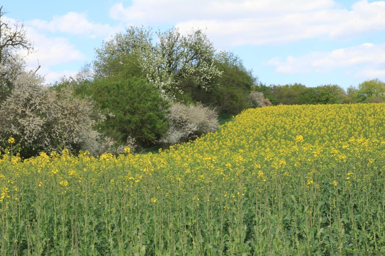 Ferienwohnung Am Weltnaturerbe Grumsin Ziehten Εξωτερικό φωτογραφία
