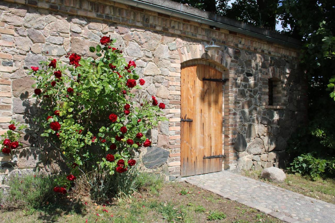 Ferienwohnung Am Weltnaturerbe Grumsin Ziehten Εξωτερικό φωτογραφία